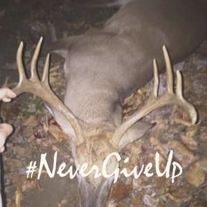 Meet your Posher, Jesse